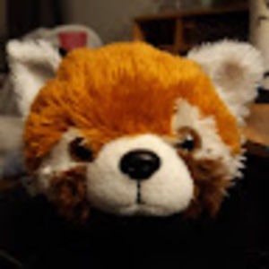 Meet your Posher, Mom